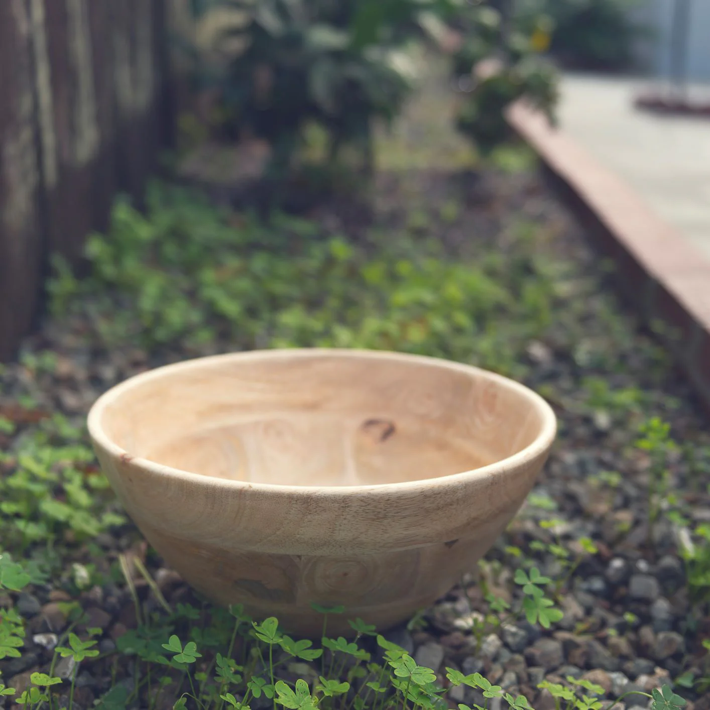 Corissa Bowl, Large - Image 3